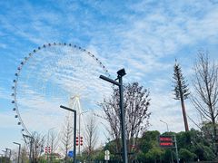 -南昌之星摩天轮