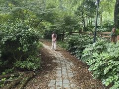 -素山寺森林公园