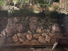 -有马温泉 竹取亭円山温泉旅馆