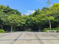 -深圳国际园林花卉博览园