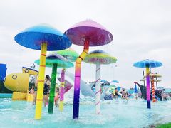 -秦皇岛乐岛海洋王国