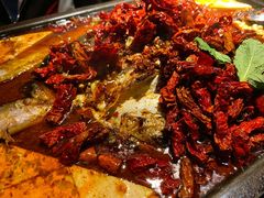 -探鱼·鲜青椒爽麻烤鱼(领展购物广场店)