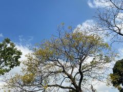 -上海月湖雕塑公园