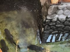 -耕渔小院·湖南鱼鲜(望城店)