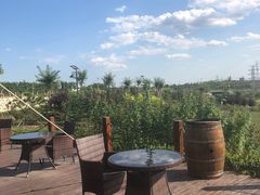 -丹世红酒庄·烧烤·团建·婚礼·水上运动