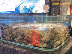 -雍容荟帝王蟹活龙虾展台自助(IFS黑金店)