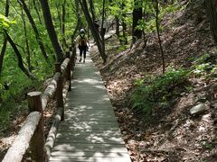 -北京上方山国家森林公园