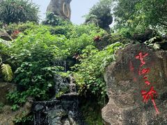 -海口火山口国家地质公园
