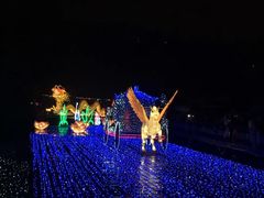 -飞凤山奥体公园