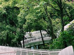 -金鸡山公园