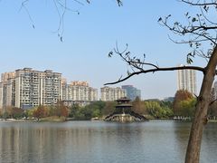 -洋湖国家湿地公园