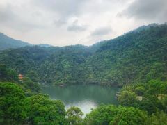 -鼎湖山风景区