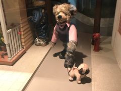 -济州岛泰迪熊博物馆