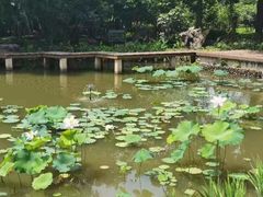 -福建鲤鱼洲酒店