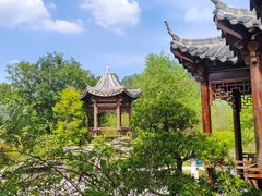 -广州市帽峰山景区