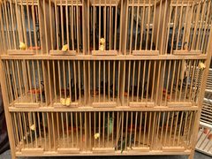 -北京国子监胡同