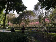 -龙头寺公园