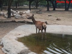 -西安秦岭野生动物园