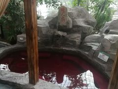 -渔岛海洋度假区