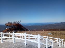-大秃顶子山