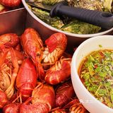 藏不住了｜快来实现小龙虾自由🦞