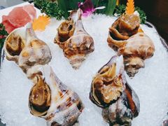花雕酒醉海螺-金龙·打边炉(武进路店)