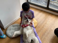 -Husky Go! 哈士奇体验馆·宠物咖啡厅狗咖