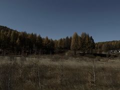 -塞罕坝国家级自然保护区