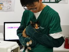 -可蒙动物医院·猫科·骨科中心(首义路店)