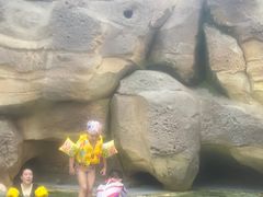 -杭州开元森泊度假乐园