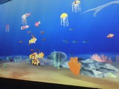 -悉尼海洋生物水族馆