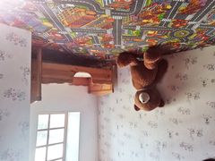 -金山农民画村-枫泾波兰倒置屋