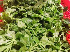 -传统菜农庄(皇姑路店)