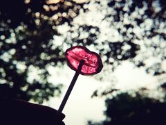 -张家港凤凰山景区河阳山歌馆