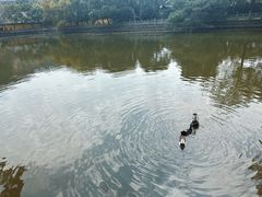 -阿育王寺