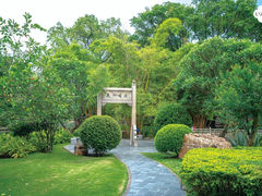 -晓港公园