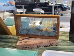 -浙江中升裕迪奥迪4S店(西溪店)