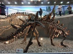 -国家自然博物馆