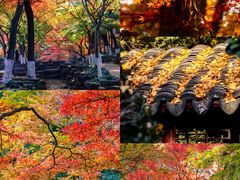 -虞山风景区