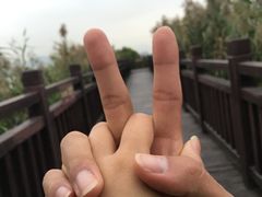 -芒洲湿地公园