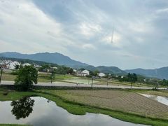 -黄牛肉馆·皖南土菜