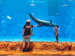 -华夏文旅海洋公园