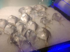 -火叮叮自助烤肉·现切牛肉(茂业店)