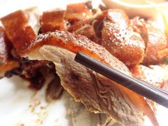 椿记烧鹅(叠彩店)-椿记烧鹅(叠彩店)