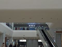 -肃宁华斯国际裘皮城