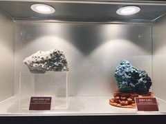 -甘肃地质博物馆