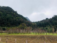 -贵阳市花溪国家城市湿地公园