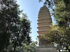 -洛阳白马寺