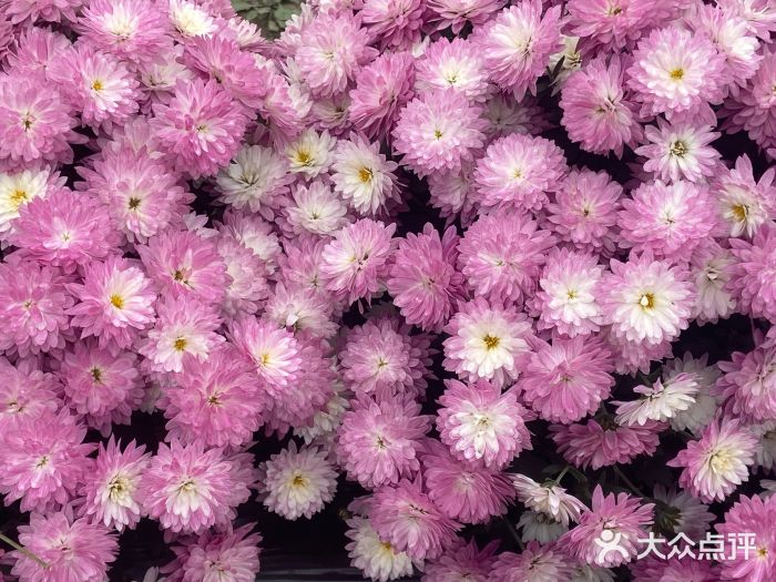 中国天府农业博览园图片