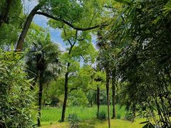 -杭州植物园